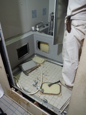 ハーバリウム🐇