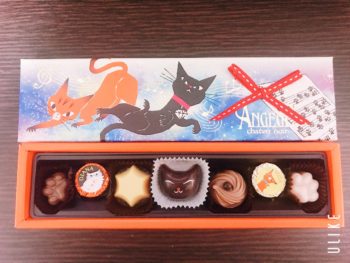 アクセス数が伸びました！🐶