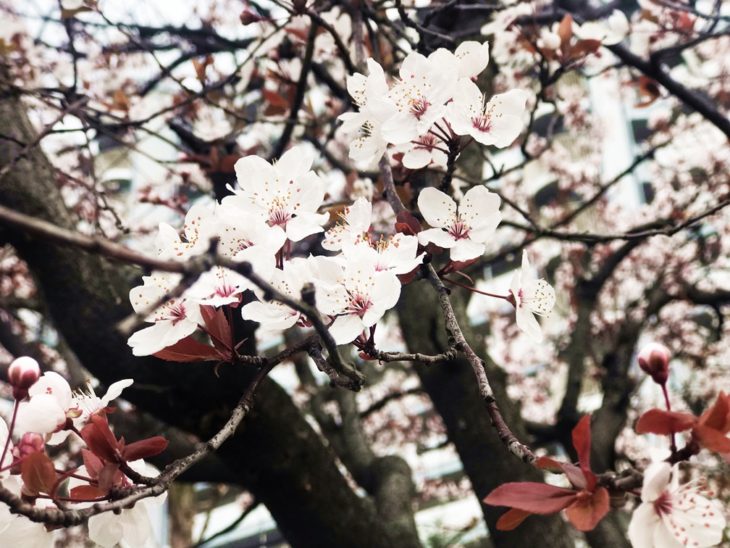 あたたかーい春が近づいてきました🐧