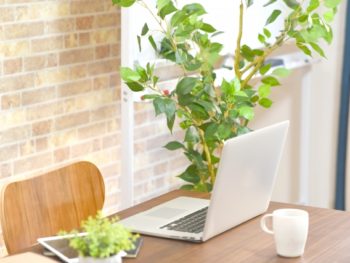 クロス貼り替えリフォーム