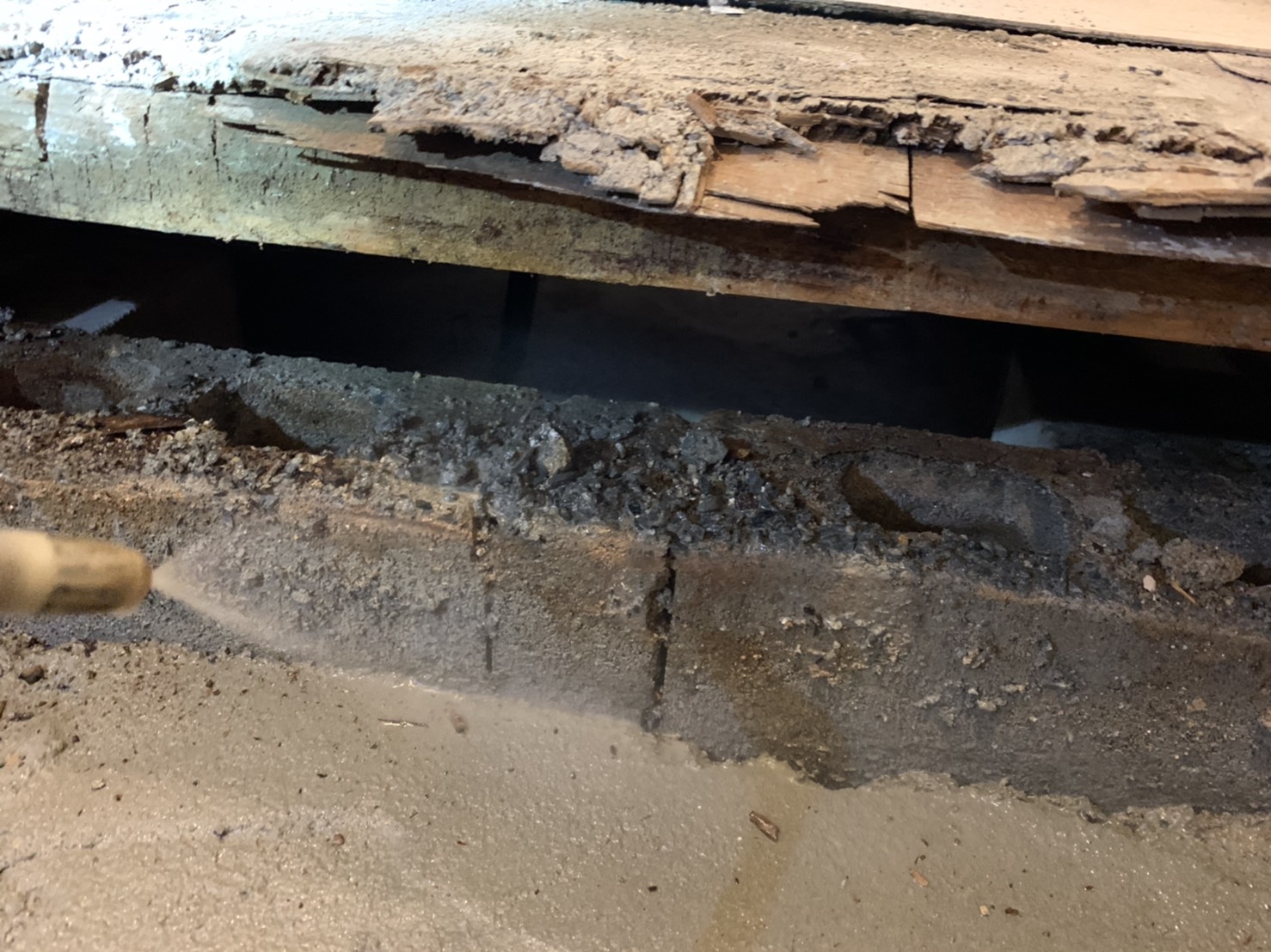 シロアリでお悩みではございませんか？